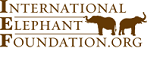IntElephantFnd3