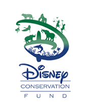 Disney3