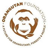 OrangutanFoundation